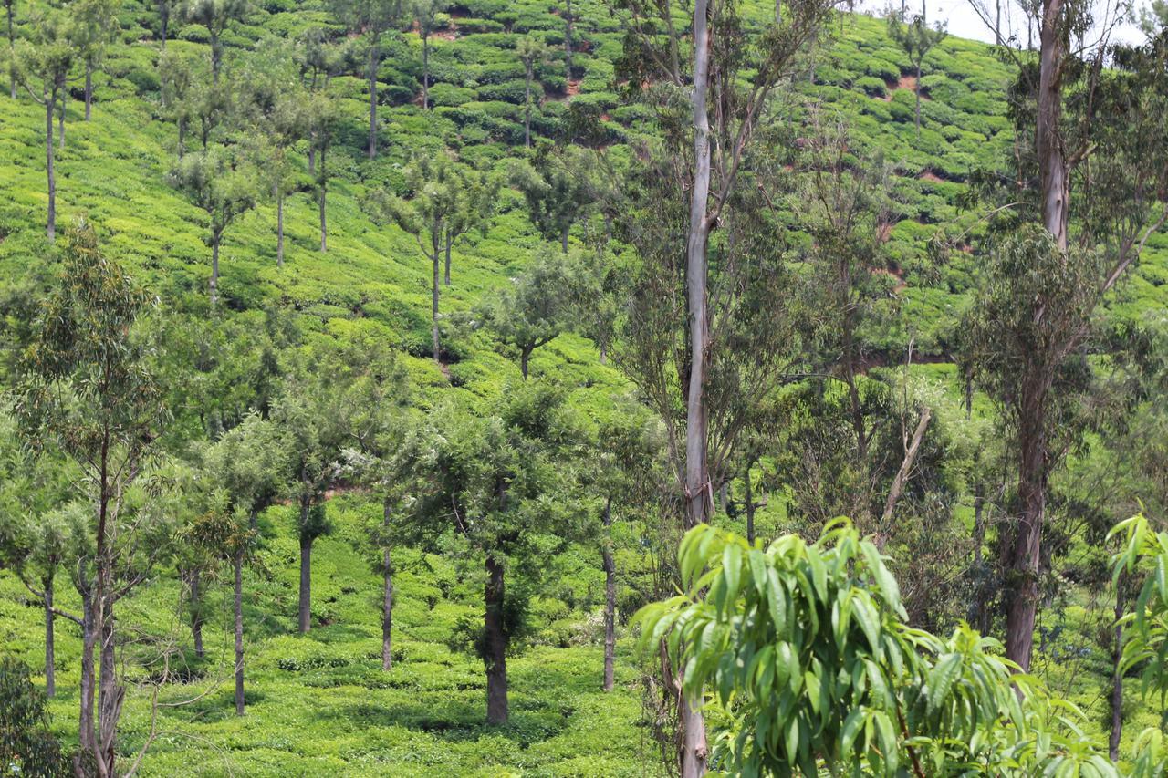Rustling River Resort Udagamandalam Exterior foto