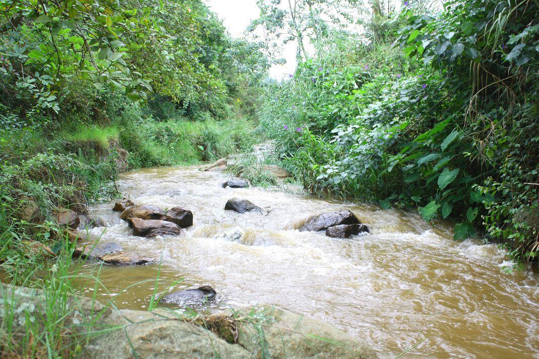 Rustling River Resort Udagamandalam Exterior foto